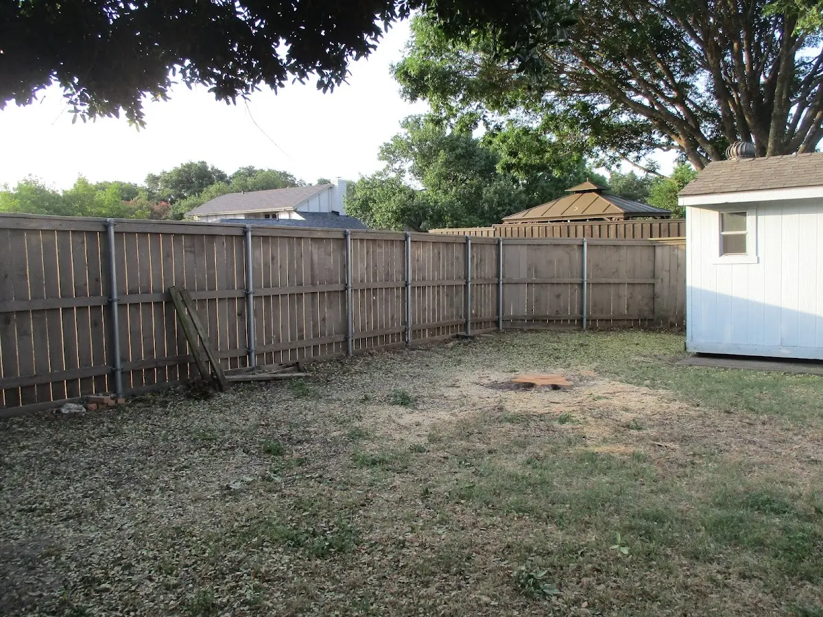 Cleared yard after professional tree removal in Belle Valley